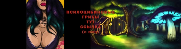 соль ск Алексин