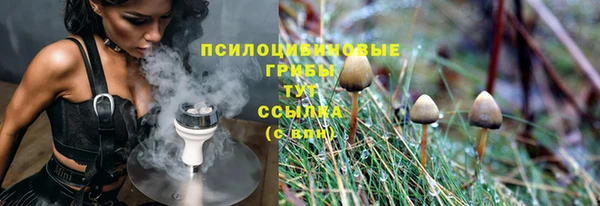 соль ск Алексин