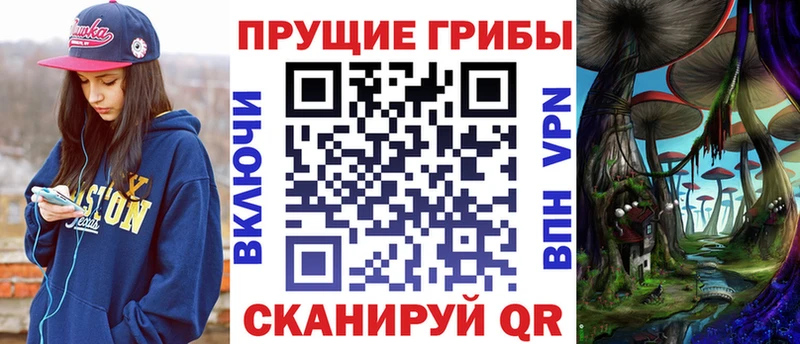 Псилоцибиновые грибы Cubensis  продажа наркотиков  Жердевка 